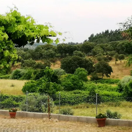 Villa With 3 Bedrooms In Castelo Branco With Private Pool Enclosed Garden And Wifi Vila *