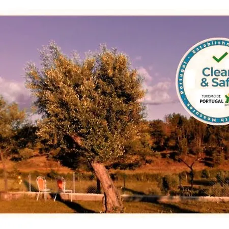 Villa With 3 Bedrooms In Castelo Branco With Private Pool Enclosed Garden And Wifi Vila *