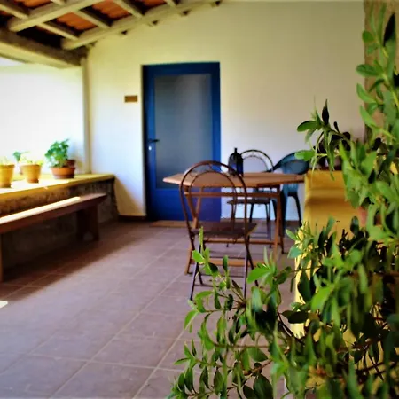Villa With 3 Bedrooms In Castelo Branco With Private Pool Enclosed Garden And Wifi Vila Castelo Branco (Centro)