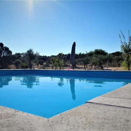 Villa With 3 Bedrooms In Castelo Branco With Private Pool Enclosed Garden And Wifi *