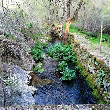 Villa With 3 Bedrooms In Castelo Branco With Private Pool Enclosed Garden And Wifi Castelo Branco (Centro)